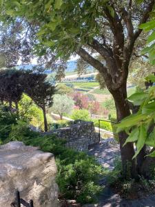 Maisons de vacances Maison de charme dans village provencal : photos des chambres