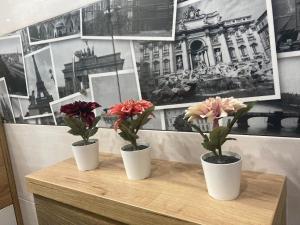 Apartament tuż za rogiem Zamku