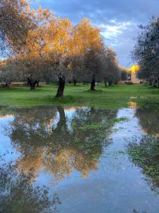 Villa Culla di Jana img29