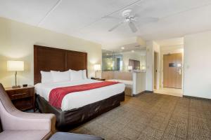King Room with Hot Tub - Non-Smoking room in Comfort Inn Kissimmee-Lake Buena Vista South