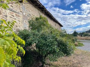 Maisons de vacances Barn Long House with Private pool : photos des chambres