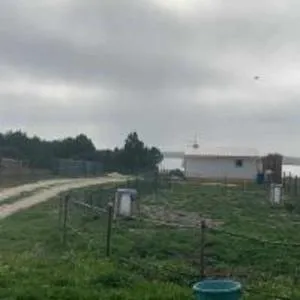 Casinha em frente à Lagoa - Quinta da Cascalheirinha