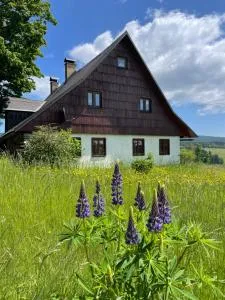 Chalupa u kapličky Říčky v Orlických horách - Pustiny