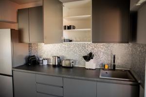 Sabrini Residence B3 Timisoara Old Town