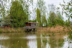 Lakeside Cabin on Stilts- Kingfisher