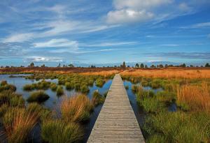 Holiday Apartment 4you