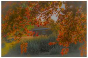 Mountbatten Shepherds hut & Buckhurst Shepherds hut