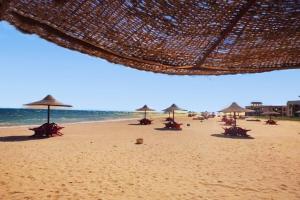 Amexco redsea apartment