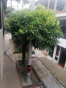 Bienvenido a tu segundo hogar a dos cuadras del centro recreaciónal lagos club comfatolima