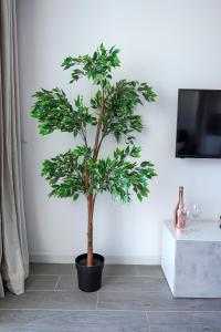 Amazing spacious 1 bedroom flat with Ocean view, 311, Ponderosa