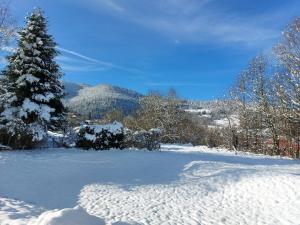 B&B / Chambres d'hotes Au Bonheur Fait Maison : photos des chambres