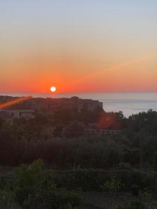 Aurantia - Mediterranean Tale