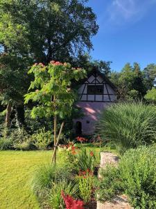 Maisons de vacances La Mouette Rose - a zen guest-house in Lauterbourg : photos des chambres