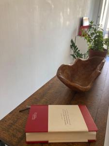 Cozy Studio with balcony and free parking