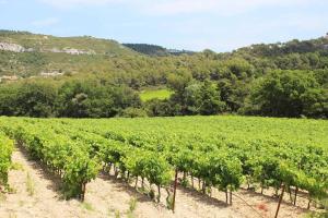 Cozy Studio with balcony and free parking