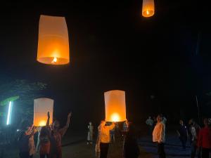 Red orchid pai Thailand