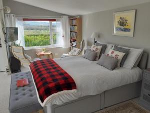 The Old School Bike Shed