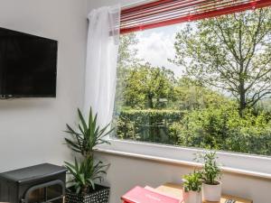 The Old School Bike Shed