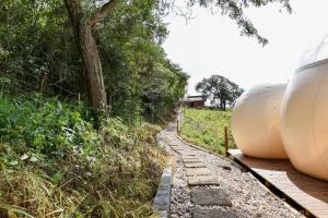 Bubble Pingo do Mula Serra da Canastra