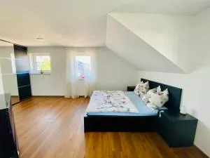 Homestay Offers Private Bedroom and Bathroom near Speyer and Hockenheim - Neulußheim