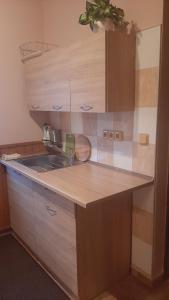 Guest House Vila Frýdštejn