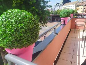 FLAMINGOS Apartman & Fitness OSIJEK - blizina Bolnice KBC Osijek