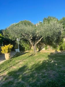 Villas Belle villa entre la montagnette et les Alpilles : photos des chambres