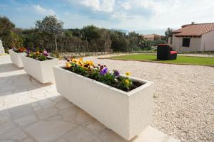 Villa la Torre Levante img74