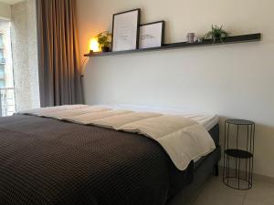 Petit plage Nieuwpoort-Bad