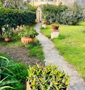 Dotty’s house - SantʼAngelo