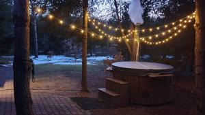 Domek na Kaszubskiej z balią i kominkiem