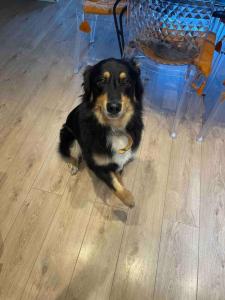 t3 au rez de jardin d une maison