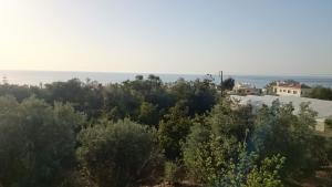 Maritsas Roses Apartments