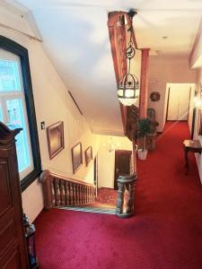 Hotel zum Goldenen Löwen - Restaurant - Panoramabar - Terrassen - Events - Rheinblick - Geschichte seit 1728