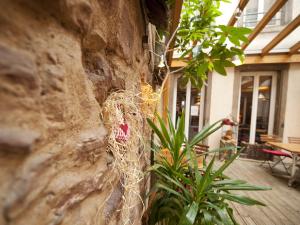 Hotels Hotel le Grillon : photos des chambres