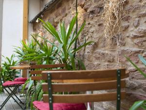 Hotels Hotel le Grillon : photos des chambres