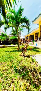 Casa Da Luna Studios