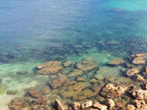 Lighthouse Apartment