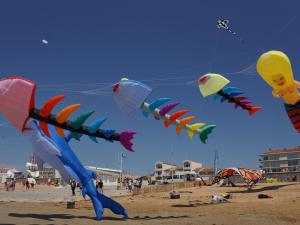 Appartements Notre-Dame-de-Monts - Apt 55m² 1er etage - 5 pers - Balcon, Vue Mer - Animaux Bienvenus - FR-1-540-147 : photos des chambres