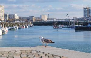 Appartements Awesome apartment in Wimereux with 1 Bedrooms : photos des chambres