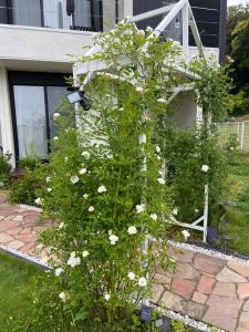 勝浦 高台庭付き 星はとてもキレイ 鳥の鳴き声で目覚め 貸し切り