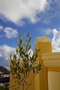 Cultural House Santorini Greece