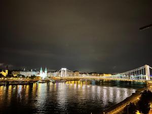 Luxury Residence with a Beautiful view for the Danube River