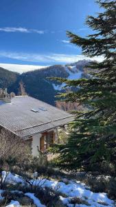 Chalets Chalet Ameo : photos des chambres