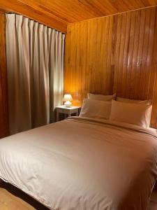 Chalets Chalet Ameo : photos des chambres