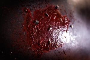 Le Cirque Ensorcelé - Le Studio Maudit & Cosy