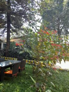 IBRAHIM Garden Hostel