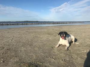 Christoffelaan 52,Vakantiehuis aan het Grevelingenmeer,5km Noordzee