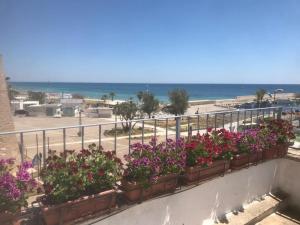 A 100metri dal mare difronte alla torre saracena.