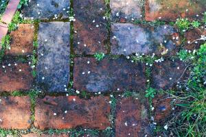 Ferienhaus Christoph Seeger